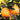 Egyptian Navel Oranges