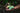 Hand holding three green mangoes with a blurred background